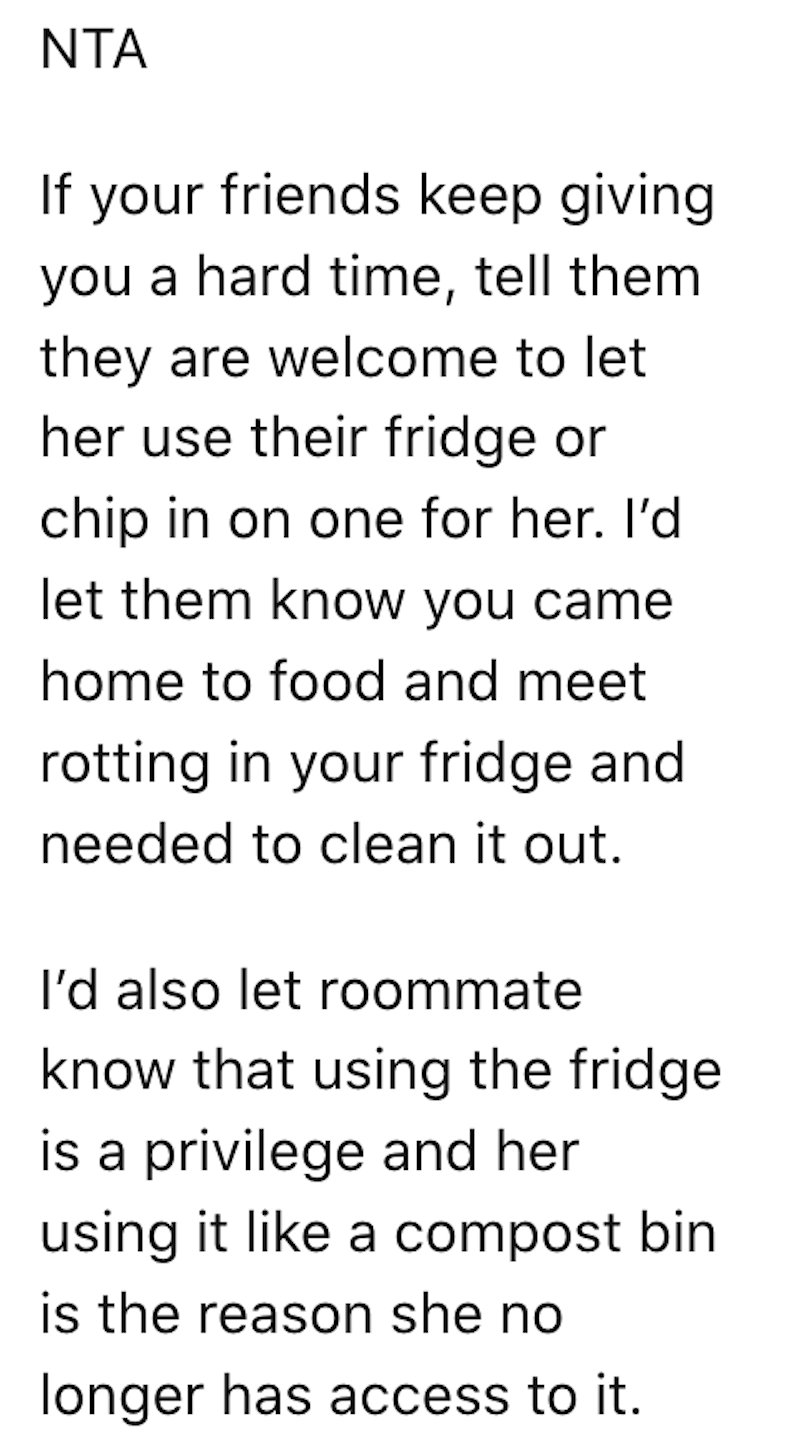 Messy Roommate Refuses To Stop Leaving Rotten Food In The Fridge, So