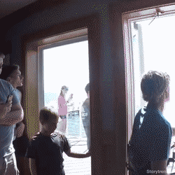 The 50 Bestest Gifs Of 2018 Aka The Shirk Report Volume 506