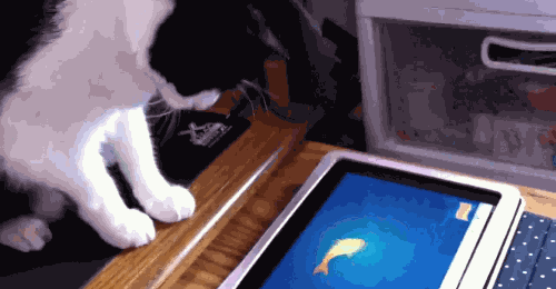 10 Exciting Video Games for Cats on iPad Free apps for android, IOS
