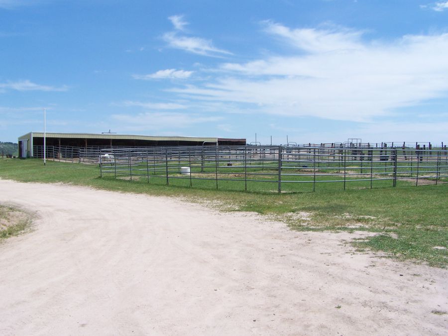 Horse Boarding Facilities Two Hawks Ranch Larkspur Colorado