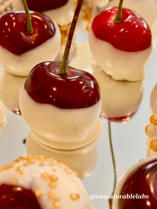 White Chocolate Covered Cherries Two Adorable Labs