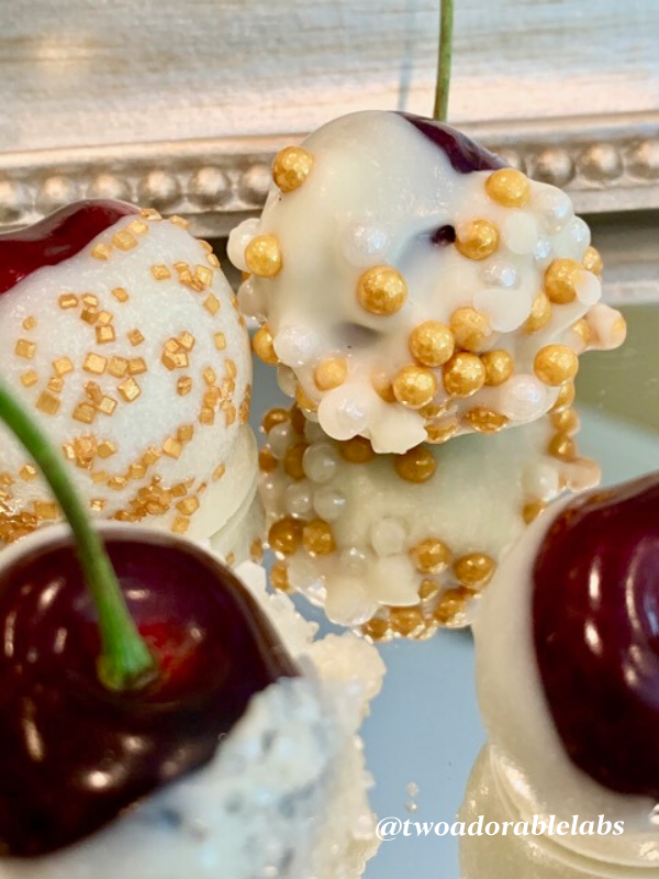 White Chocolate Covered Cherries Two Adorable Labs