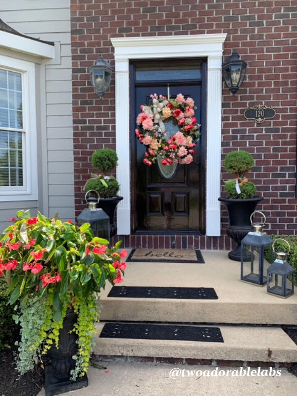 Castor Bean Plant Toxic To Dogs Two Adorable Labs