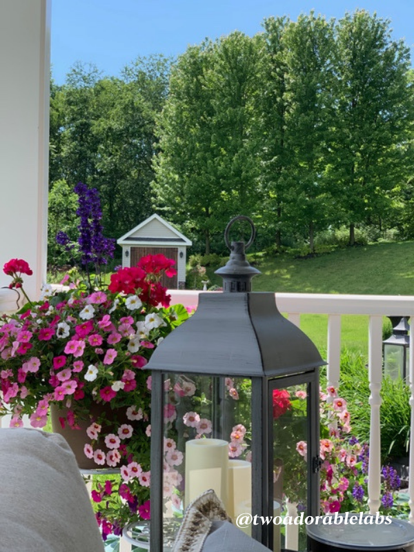 2021 Floral Landscape Two Adorable Labs