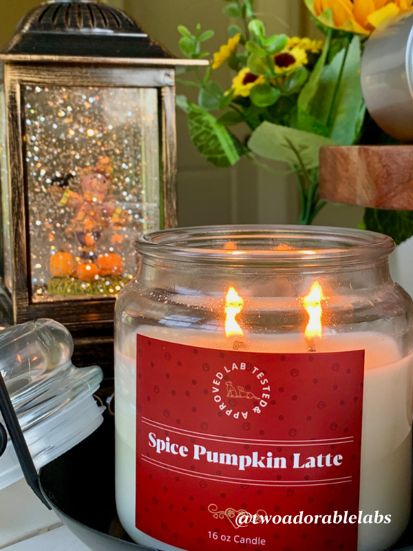 Fall Candle Sale At Two Adorable Labs Two Adorable Labs