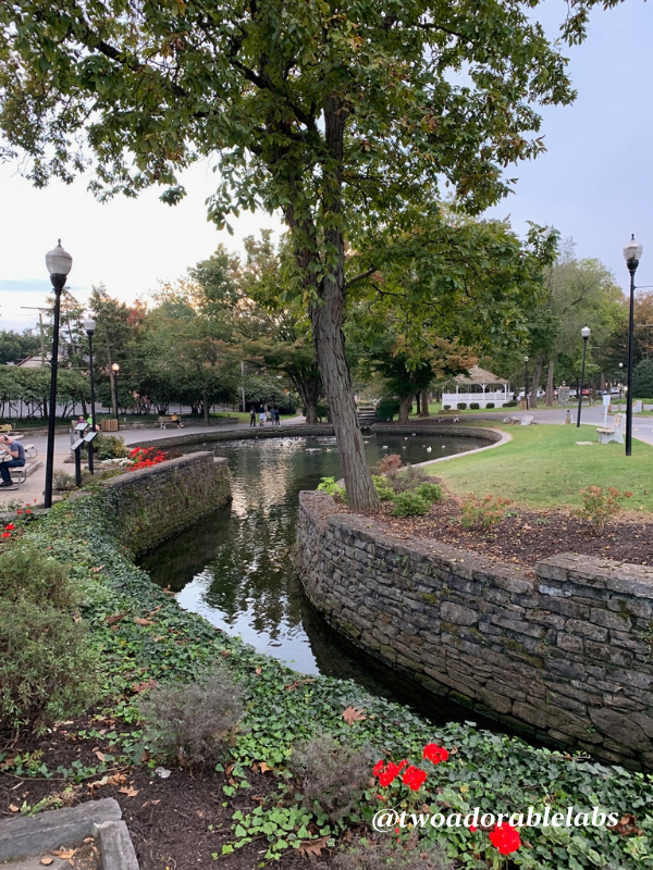 Lititz, PA America's Coolest Small Town Two Adorable Labs