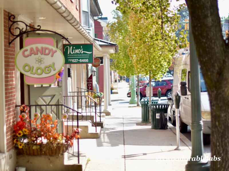 Lititz, PA America's Coolest Small Town Two Adorable Labs