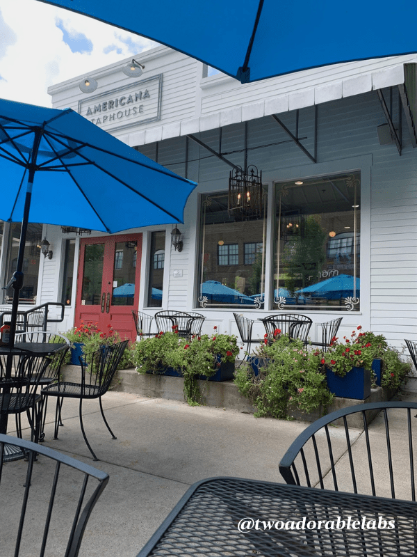 Fun In Franklin, TN Two Adorable Labs