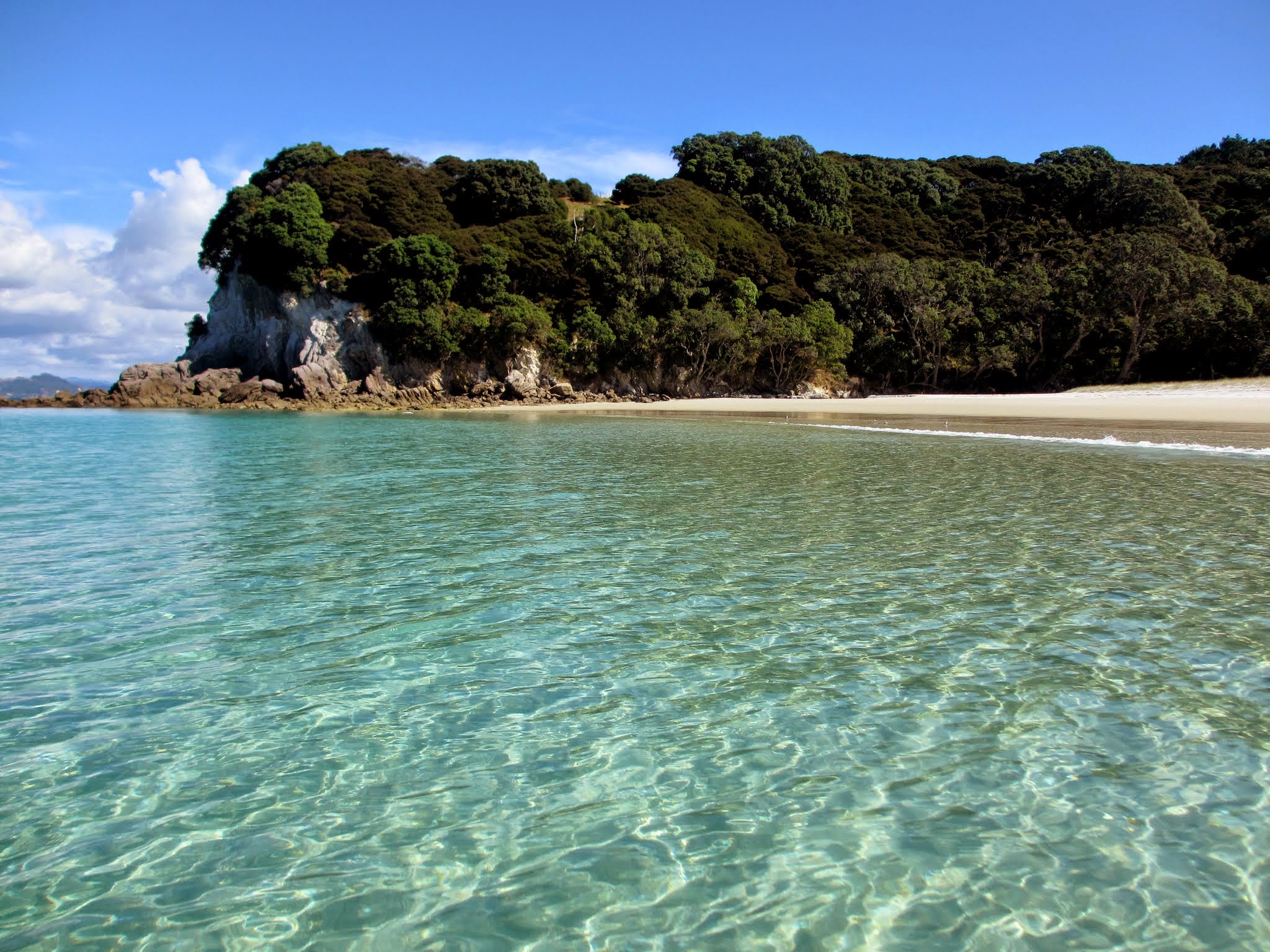 Great Mercury Island Perfect Peachgrove Bay (New Zealand) Two At Sea
