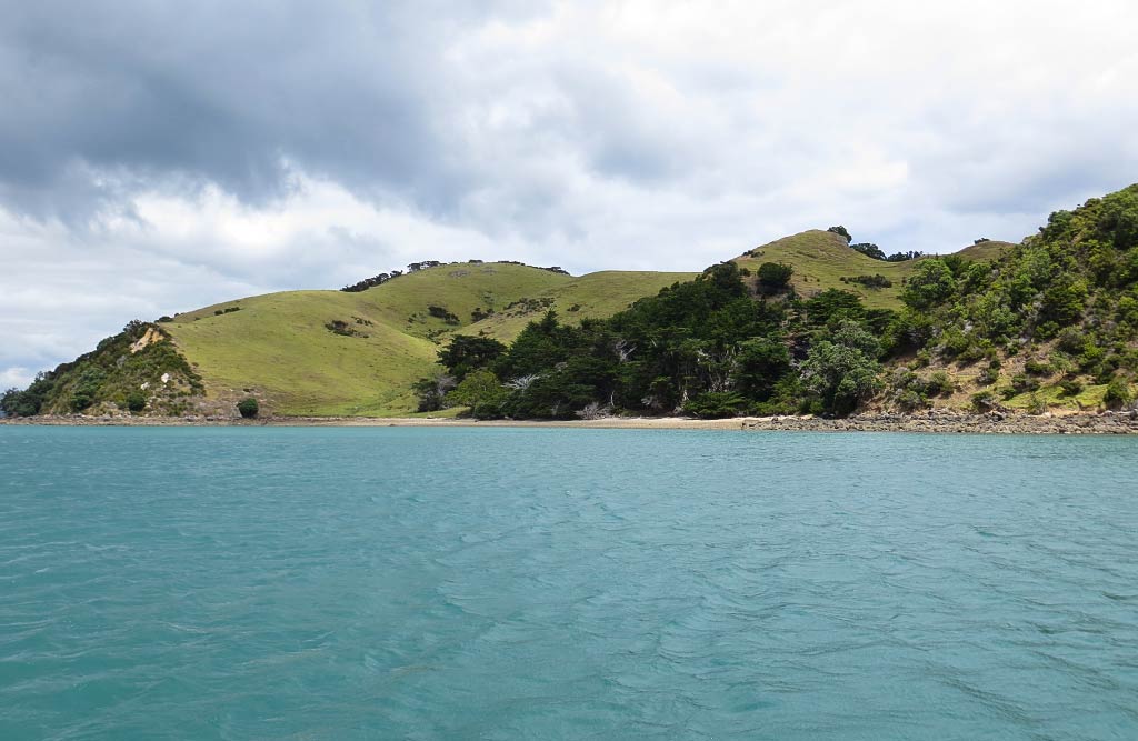 Our Wonky Course to Waimate Island (Coromandel Peninsula, New Zealand