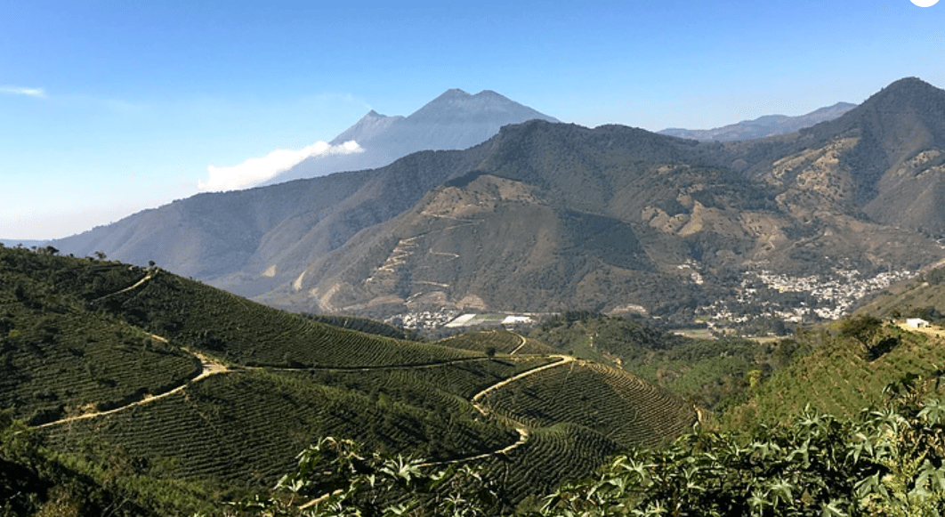 Guatemala Sierra Madre Two Before Ten