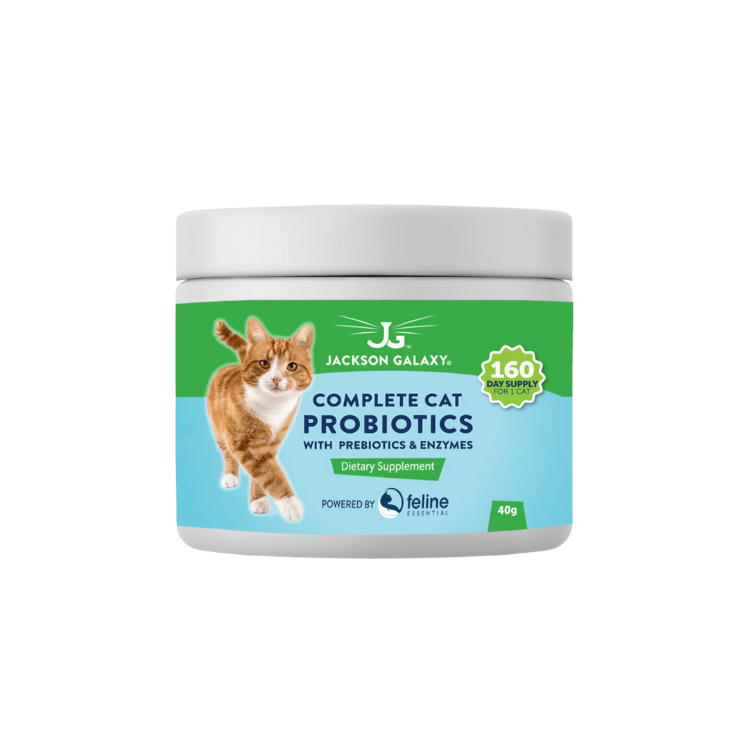 Yeast Infections In Cats Two Crazy Cat Ladies
