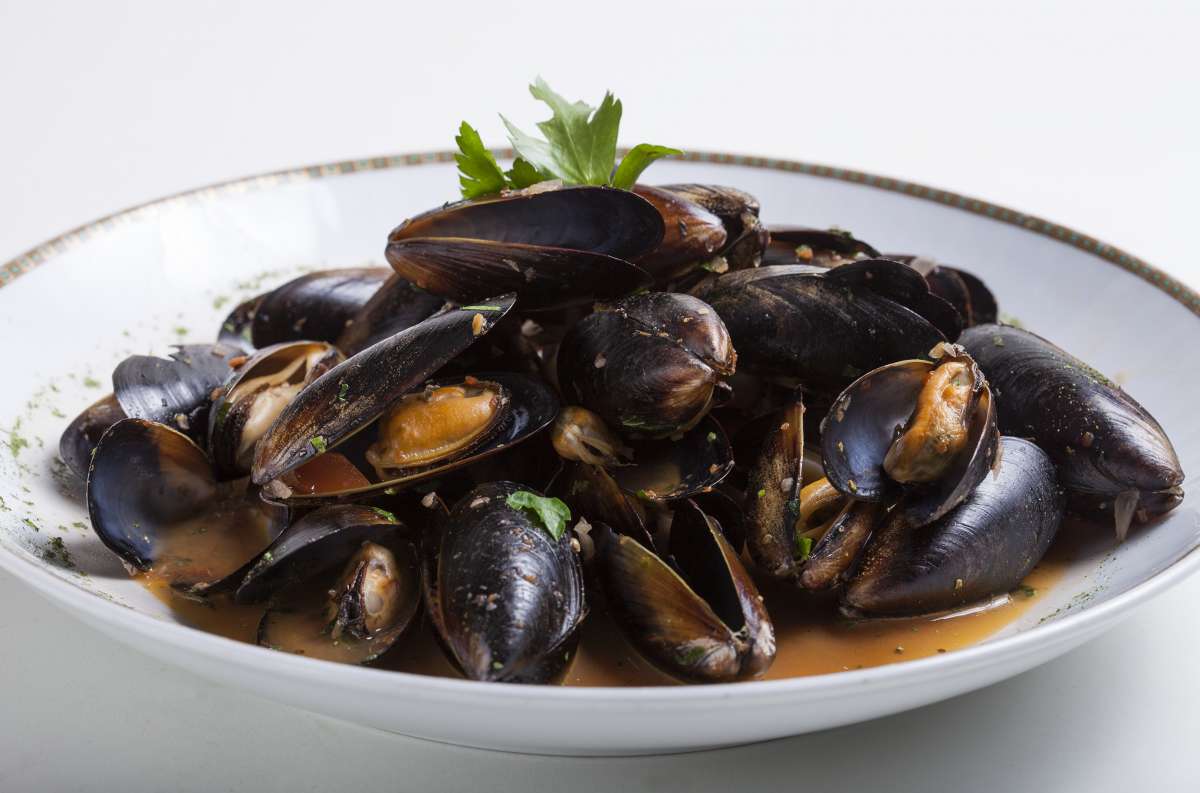 Half Price Mussels Two Fat Blokes