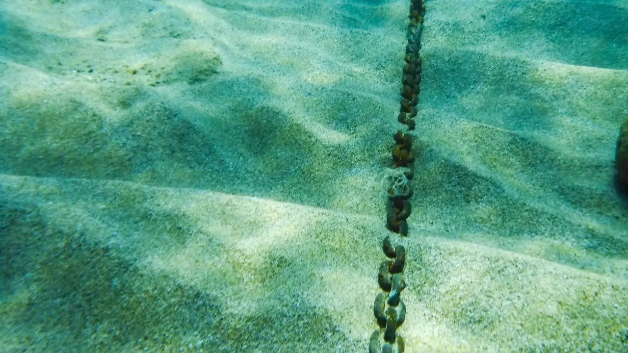 The Best Anchors For Sand 2024 Two Get Lost