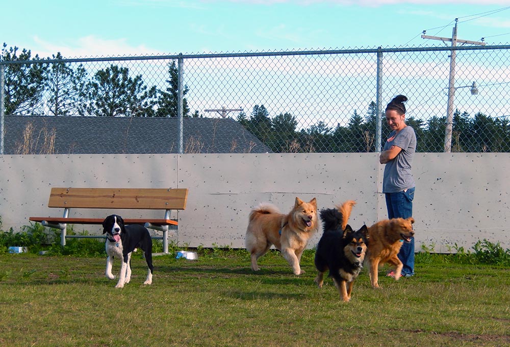 Who Let the Dogs Out? Two Harbors Dog Park