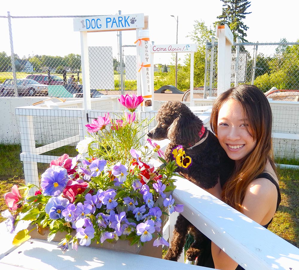 Sizzling Summer Fun at the Dog Park Two Harbors Dog Park