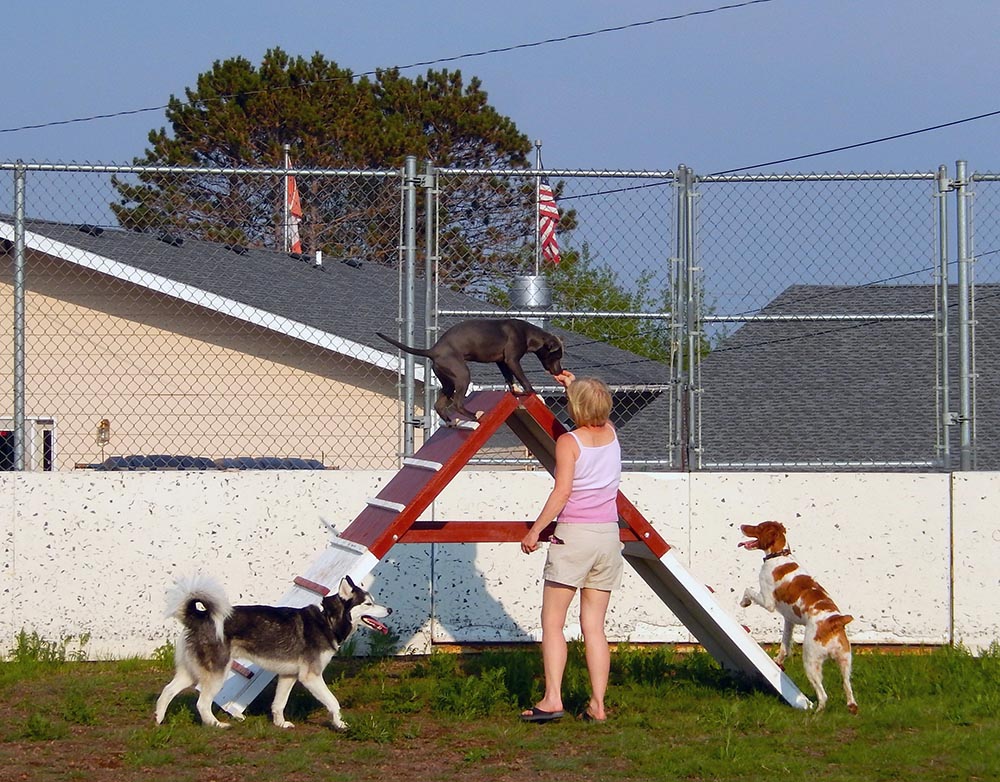 Open for the Season Two Harbors Dog Park
