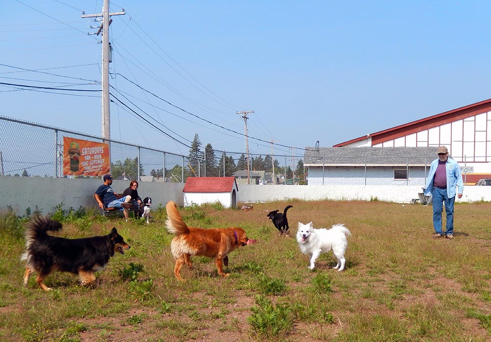 Fourth of July at the Dog Park… Two Harbors Dog Park