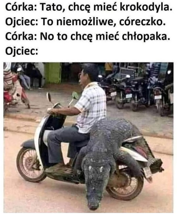 Krokodyl już jedzie