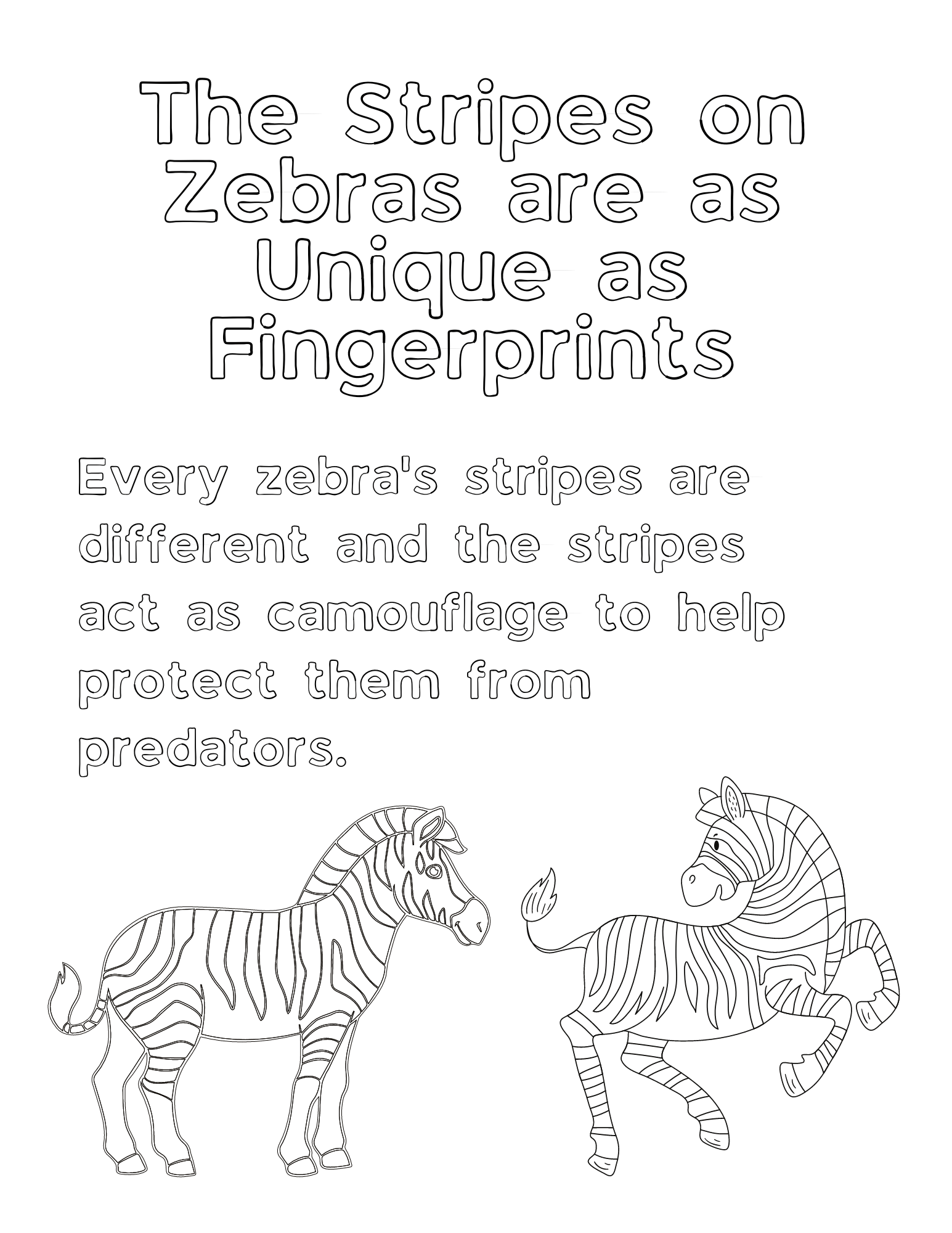 Zebra Coloring Page Without Stripes