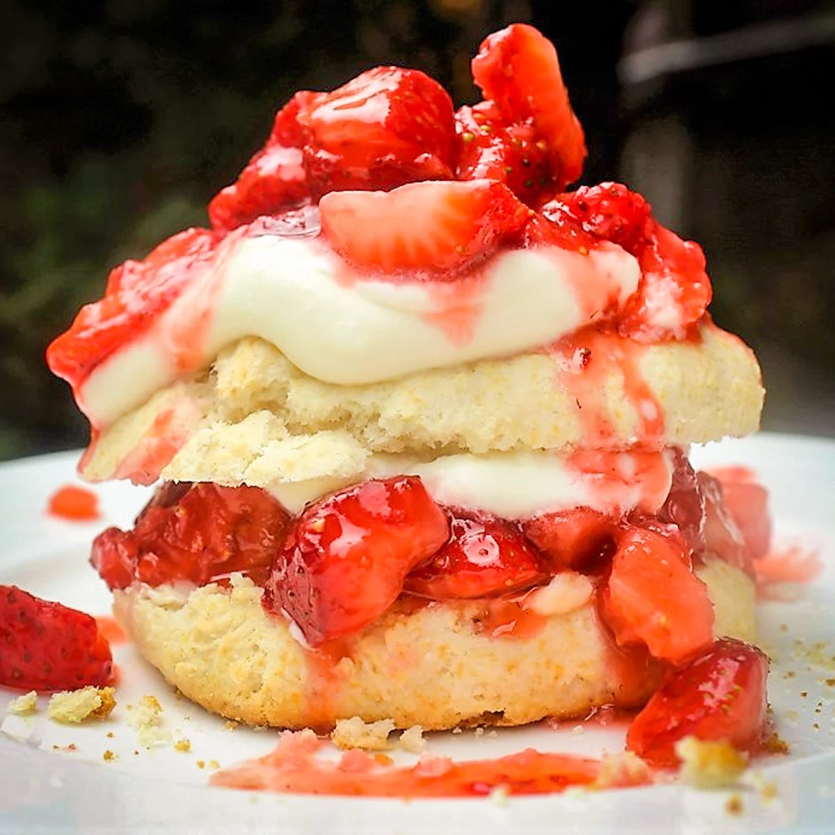 Individual Strawberry Shortcake Recipe