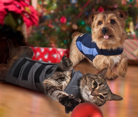 Thundershirts for dogs and cats
