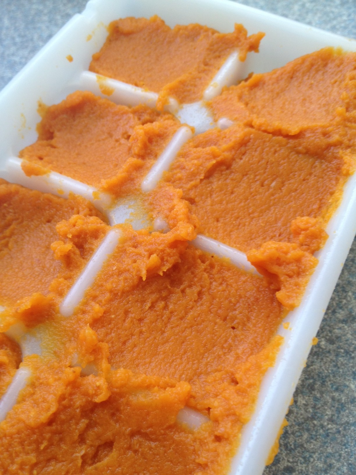 Pumpkin Cube Dog Treats Two Little Cavaliers