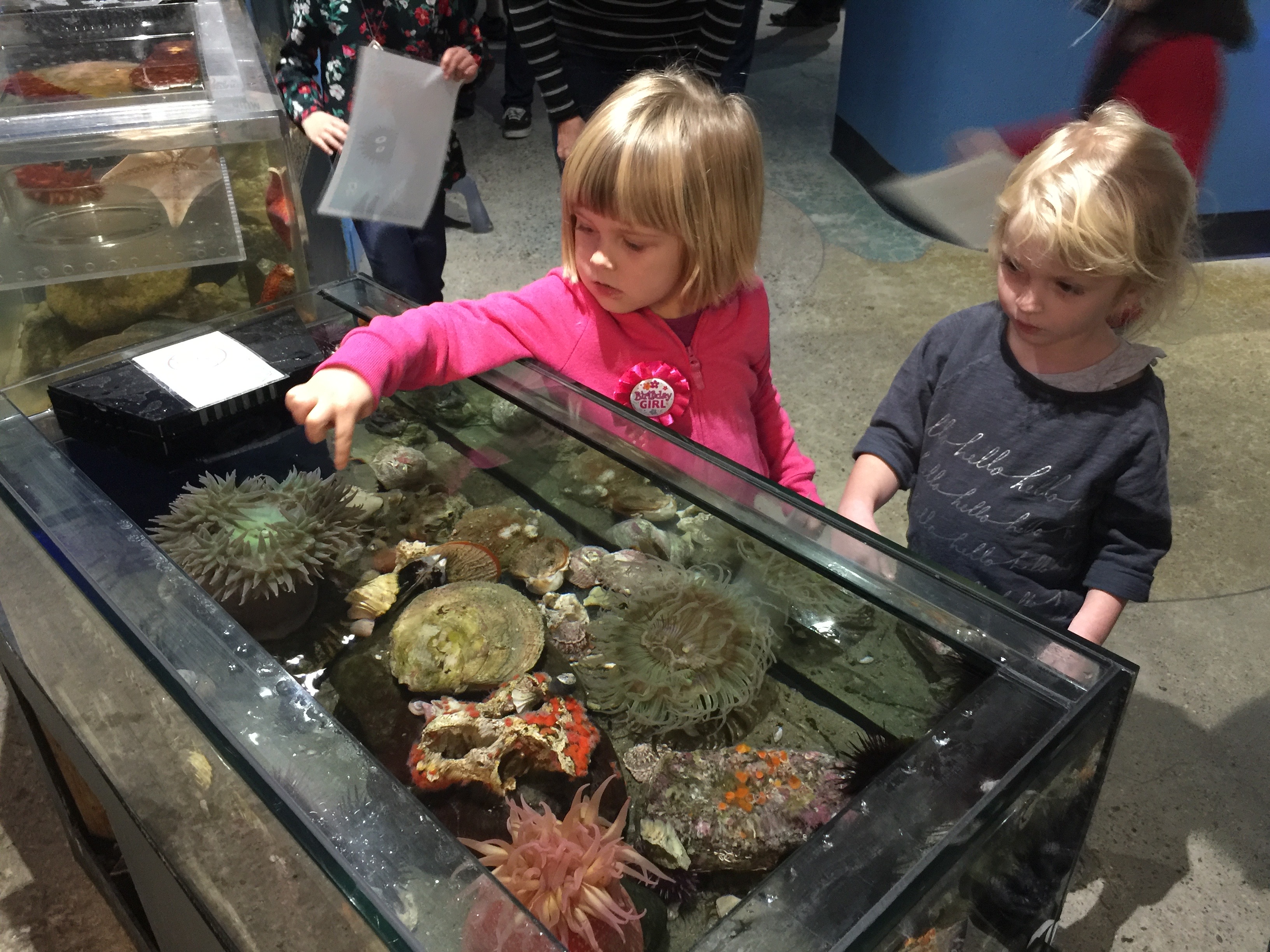 Central Coast Aquarium Avila Beach touch tanks Tonya Strickland Influencer