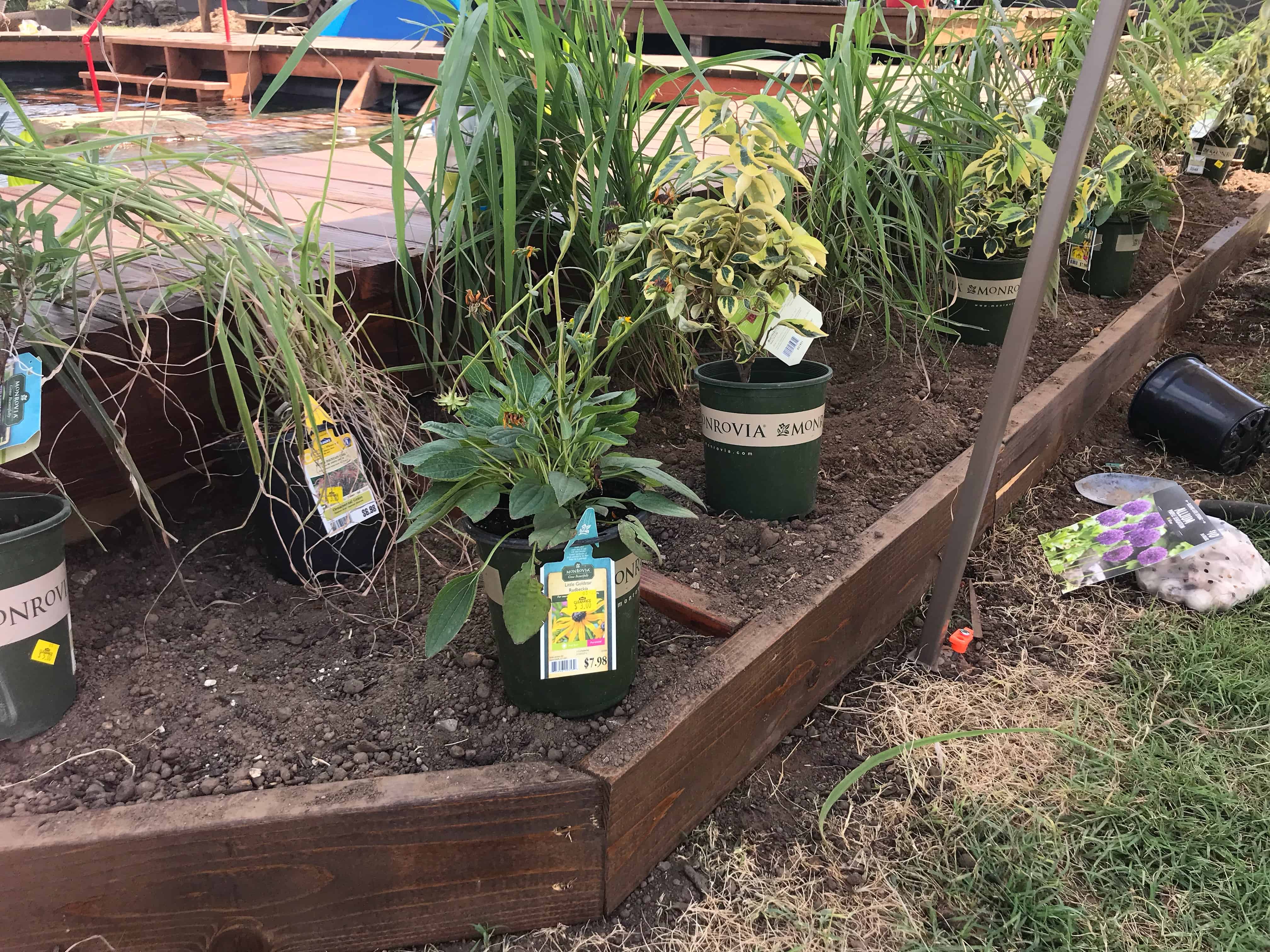 Expert Howto; Build and Install a Beautiful Perennial Flower Bed Two