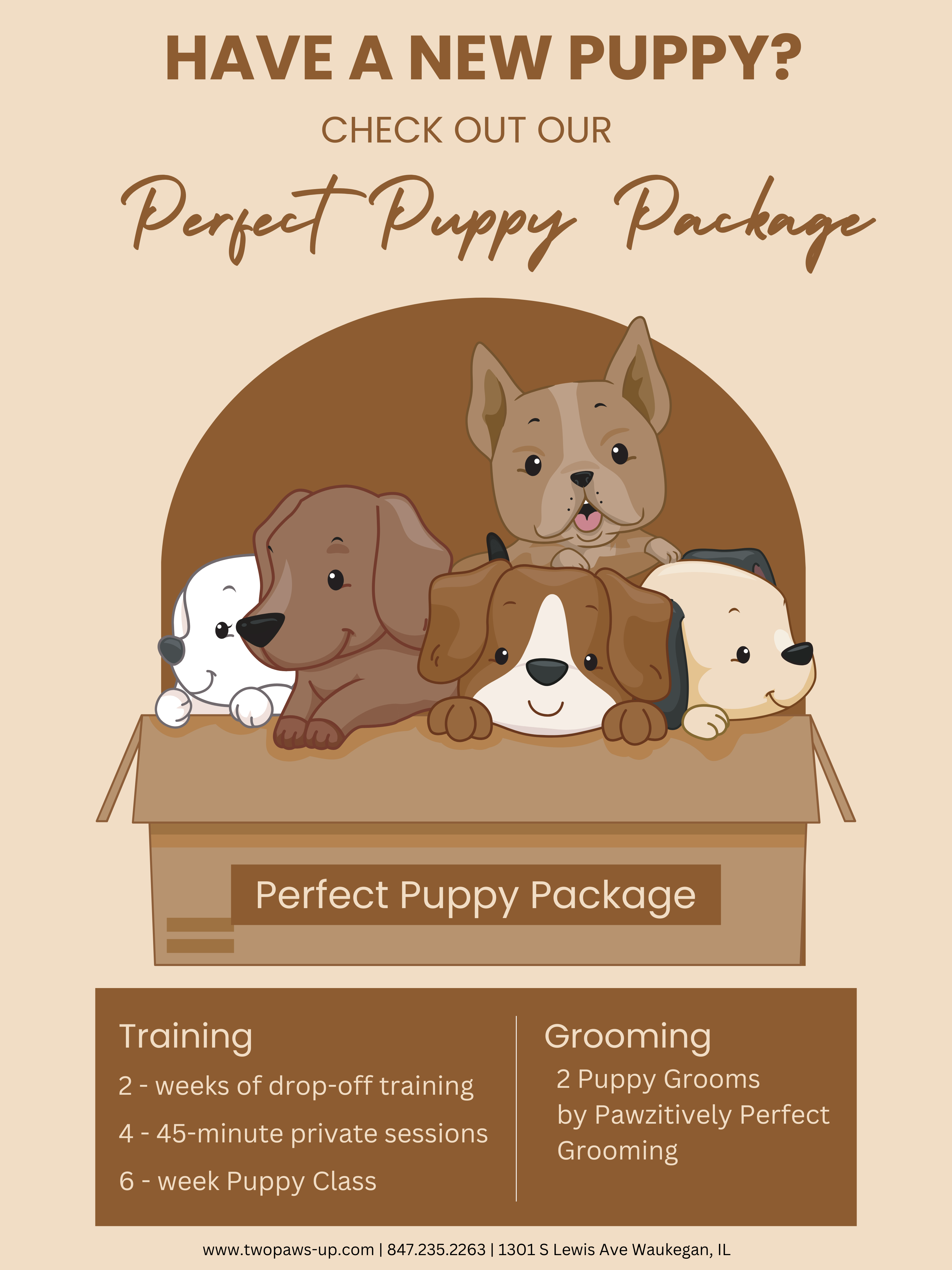 Perfect Puppy Package Two Paws Up Dog Training