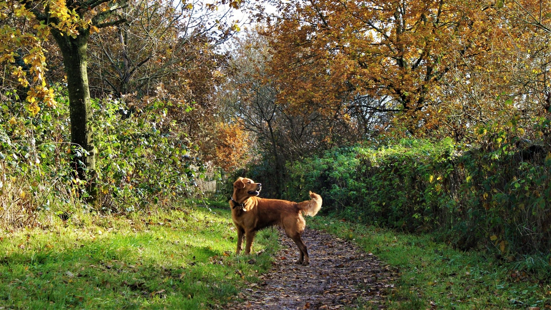 Great Falls, MT 59404 Veterinarians Two Rivers Pet Hospital