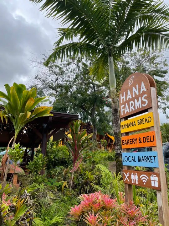 The Road To Hana Ultimate Guide Maui Hawaii Two Roaming Souls