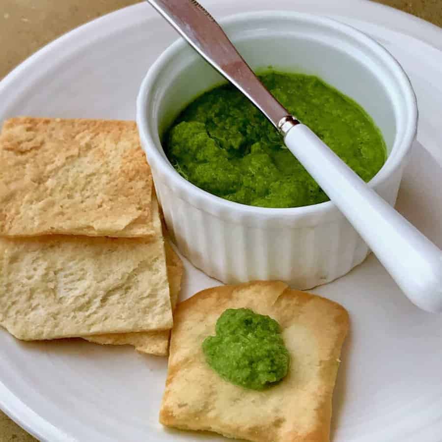 Indian Green Chutney Mint Chutney Samosa Sauce