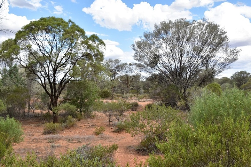 What's it Like Living in an Outback Town? Two Tall Travellers