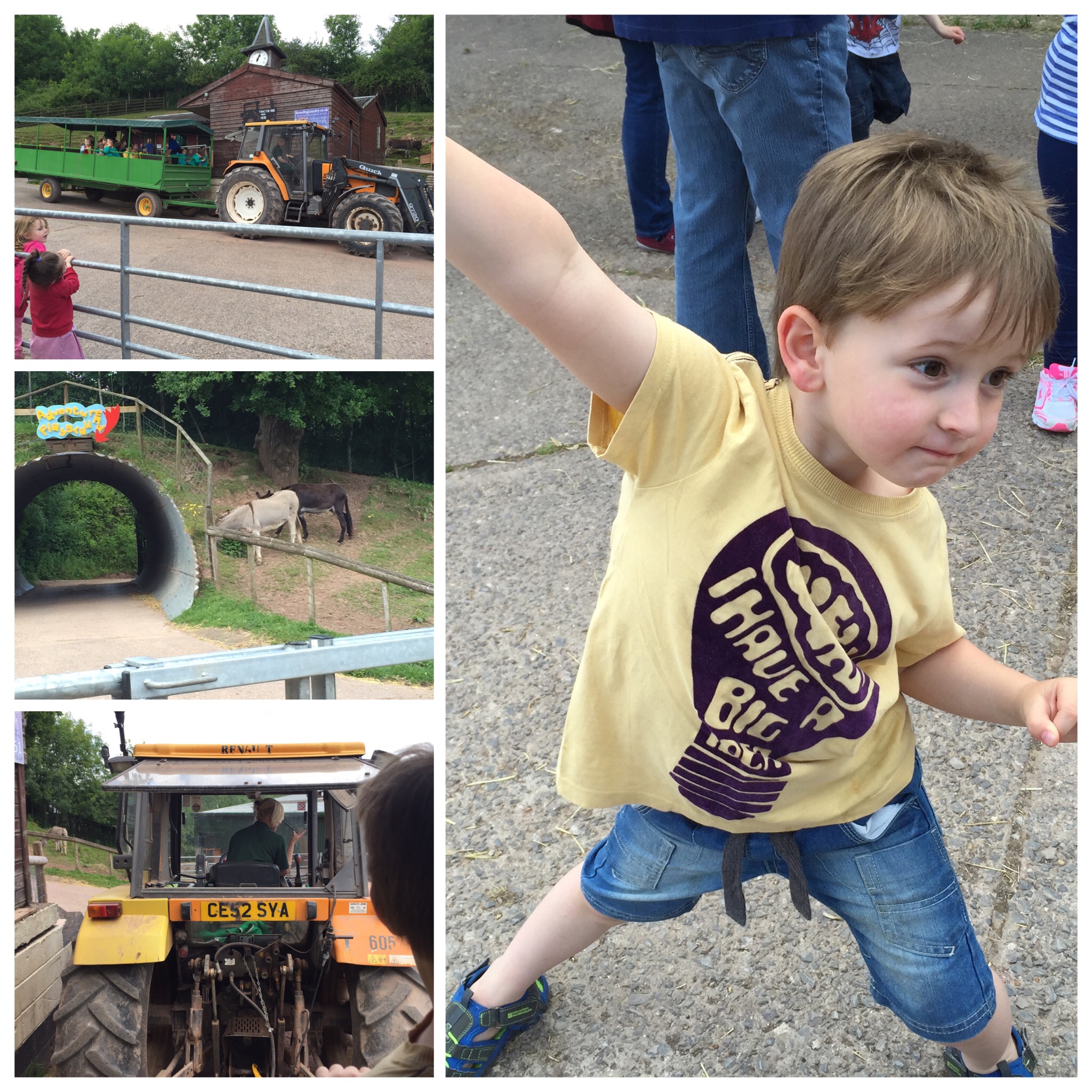 W’s first school trip Green meadow community farm Cwmbran Intothewoods