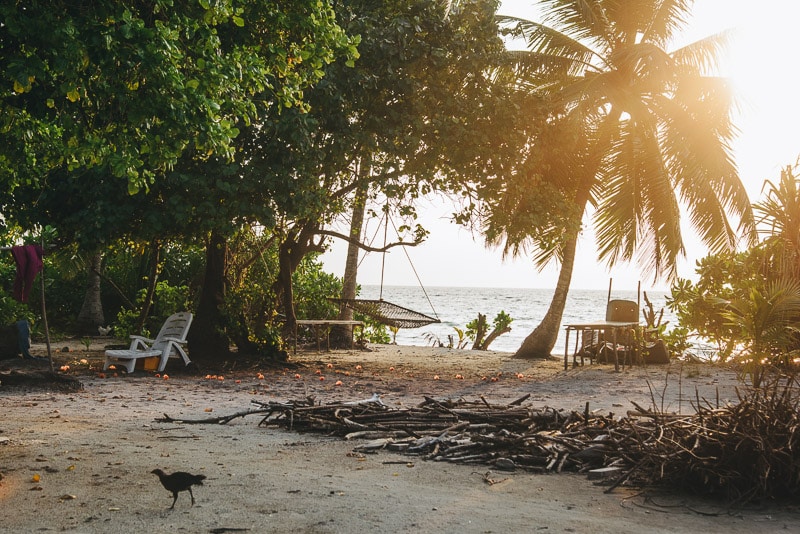 Island Caretakers Two Thousand Isles