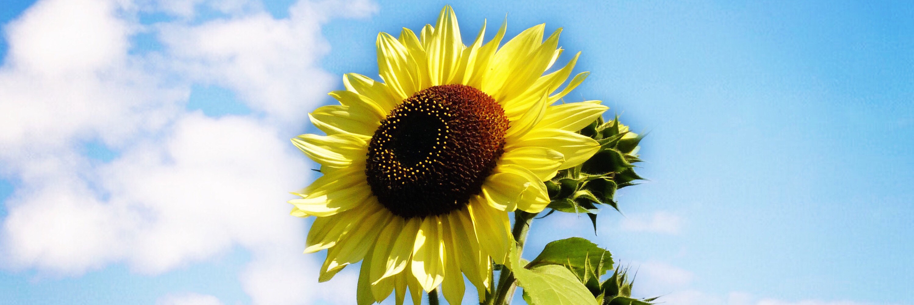 LakeHouse Happenings Two Trails One Road