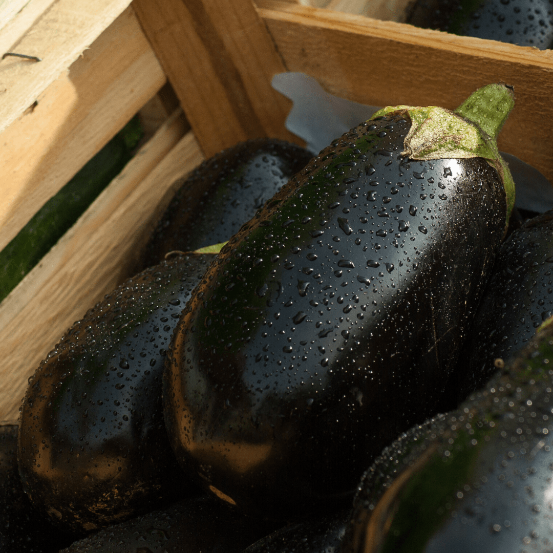 Organic Eggplant The Wholefood Pantry Palm Beach