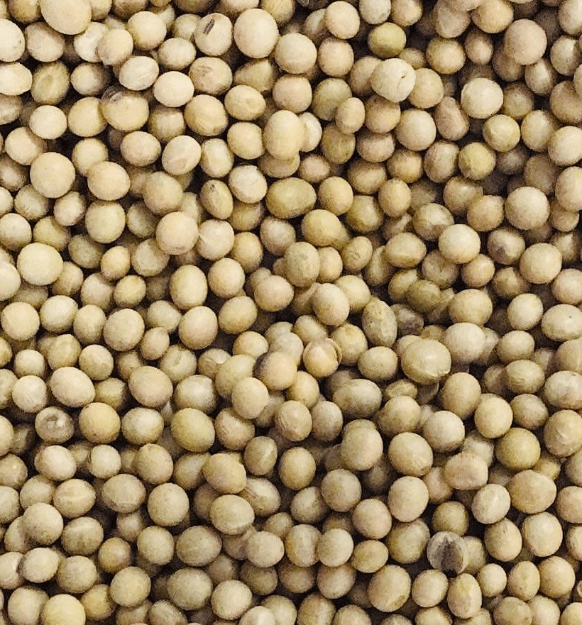 Organic Beans Soy Beans The Wholefood Pantry Palm Beach