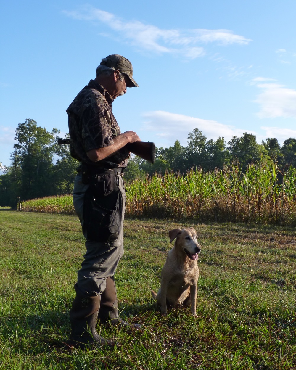 Regional Dove Hunts Tennessee Wildlife Resources Foundation