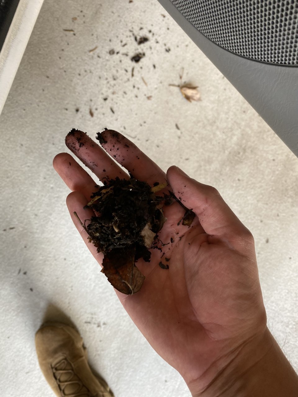 Still working on wet floorboard from rain.. does this have anything to