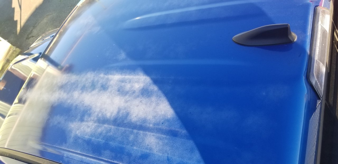 Paint Issues?? | Tacoma World