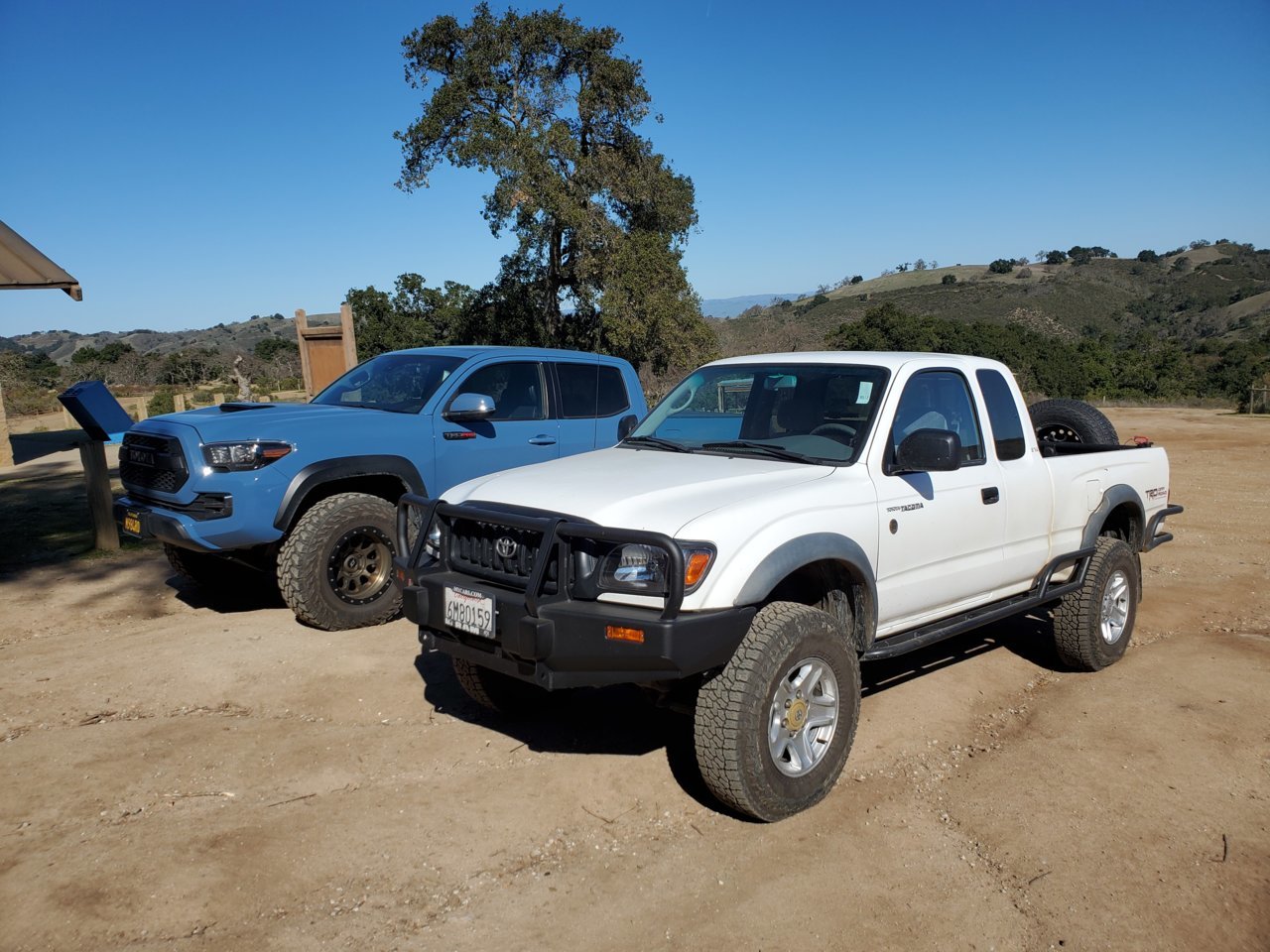 new custom paint job World