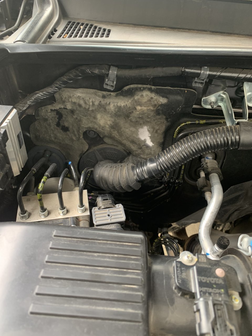 Engine bay firewall World