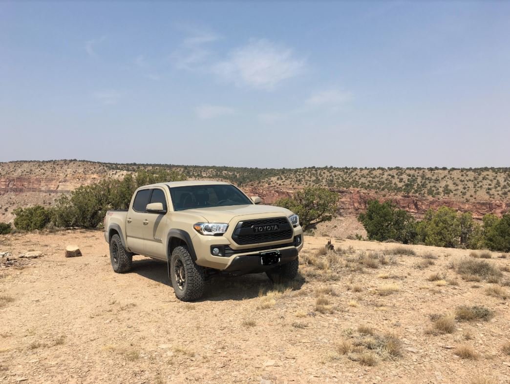 18 Taco DCSB with lift and overland gear underpowered? World