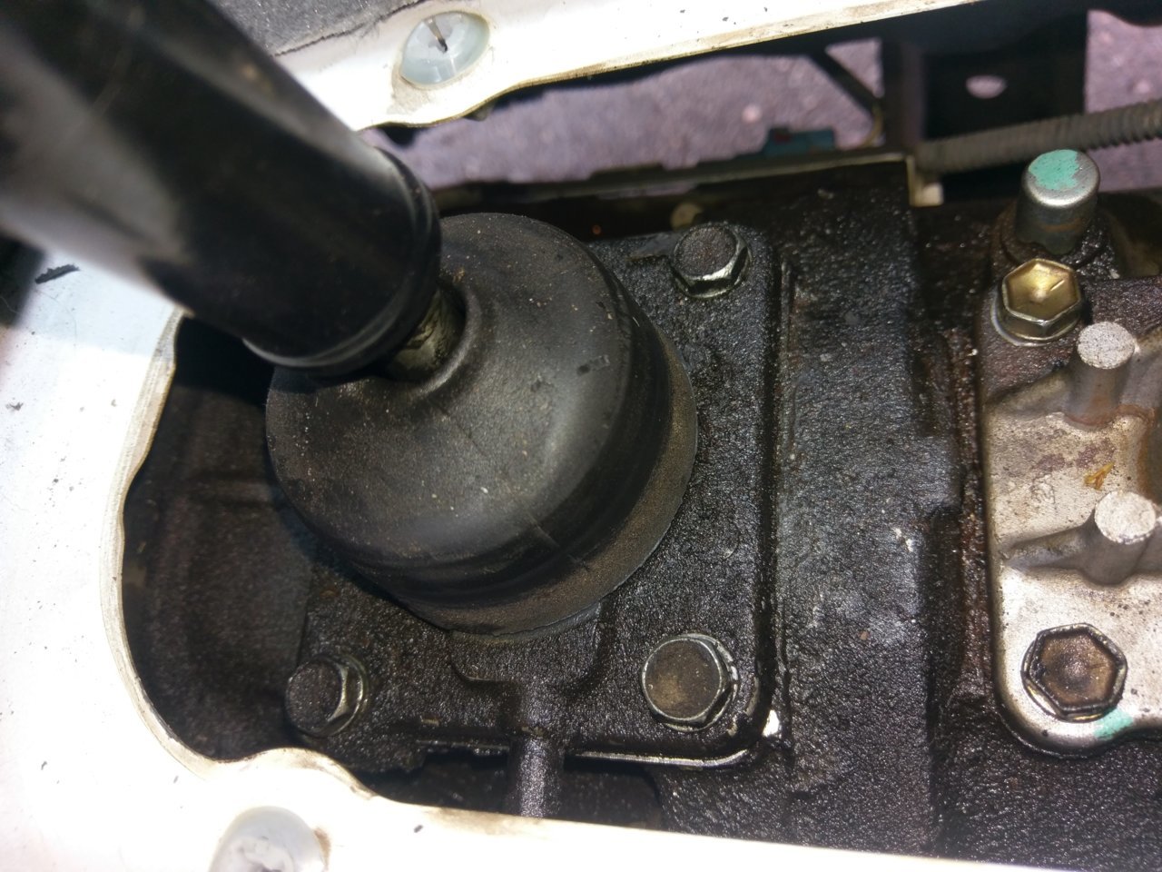 Shifter gear oil leak? World
