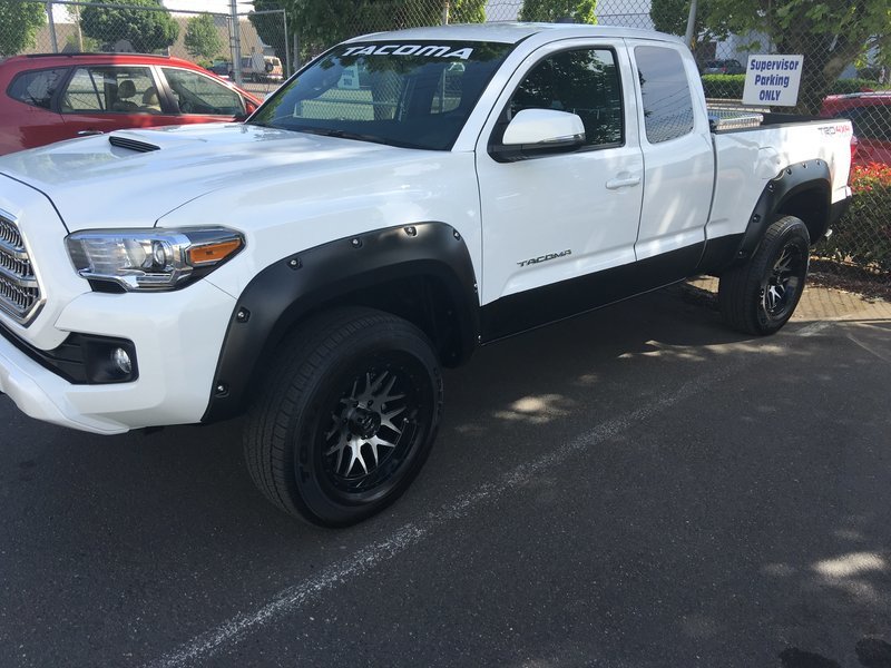 Bushwacker flares installed!! World