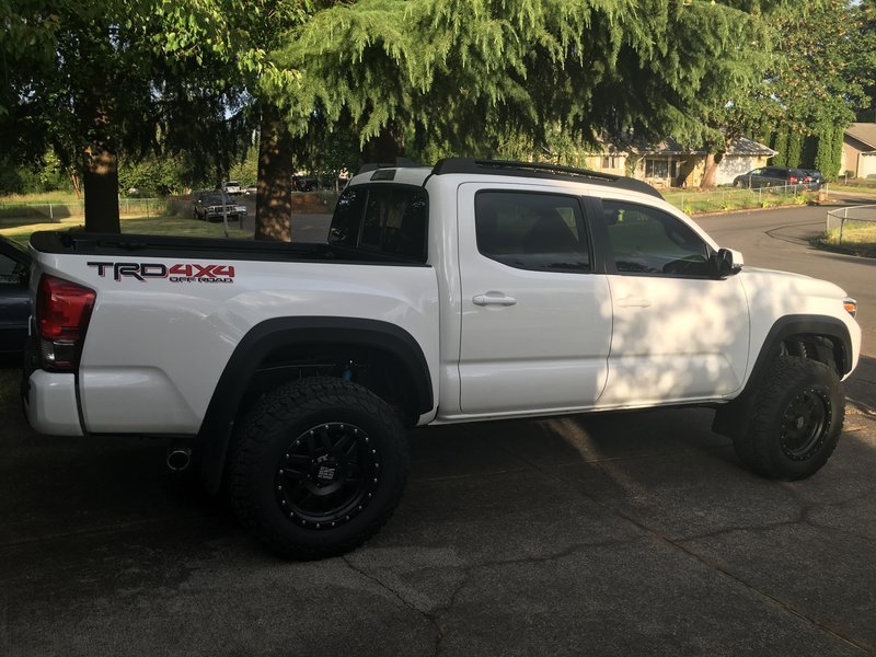 Squeaky Rear Suspension on 2016 Page 3 World