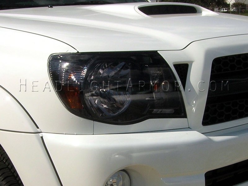 Medium tint headlights & tail World