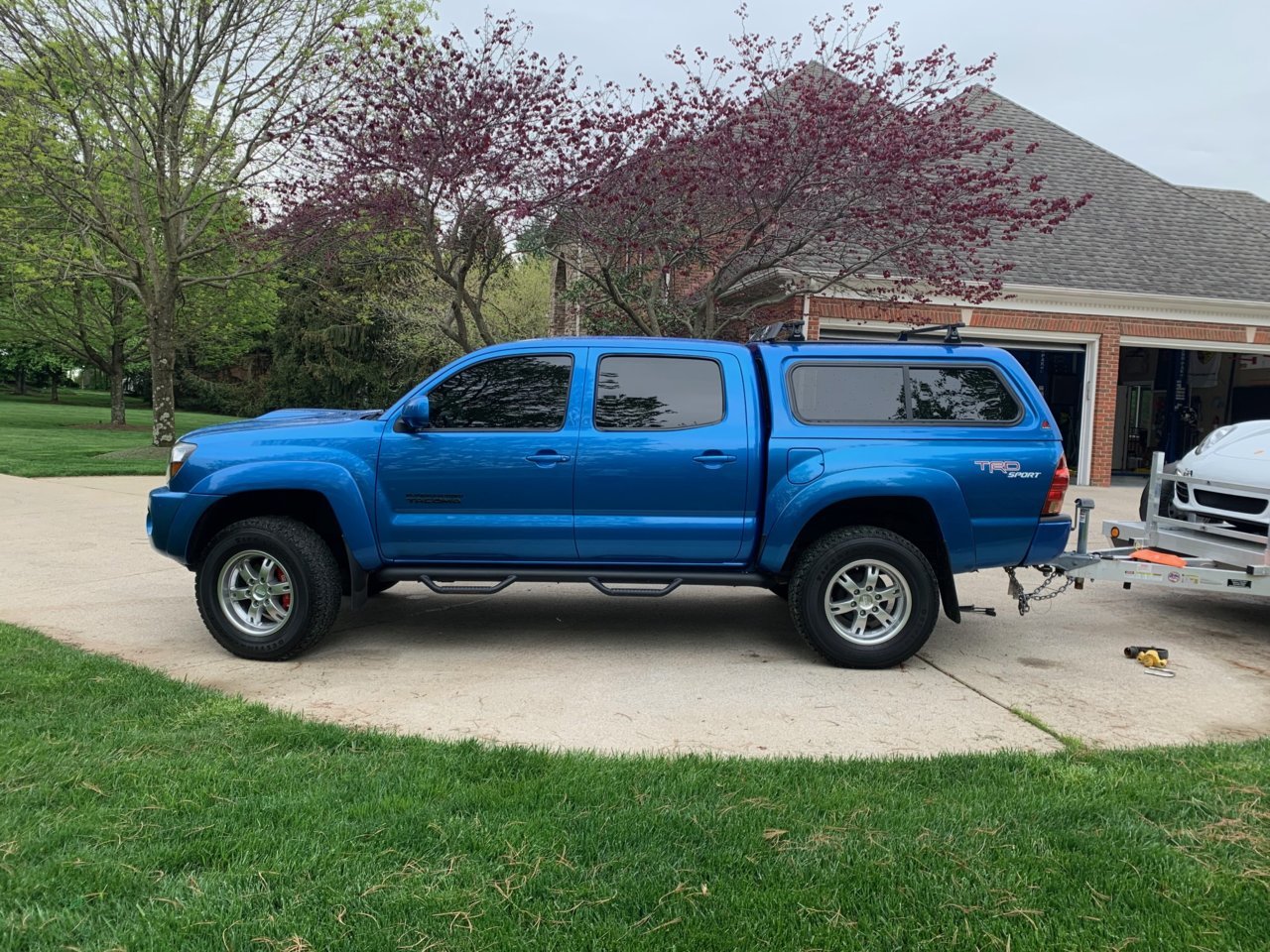 Old Man Emu Gallery Page 20 World